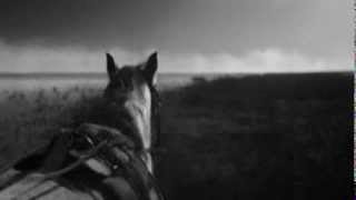 FÖLLAKZOID "PULSAR"