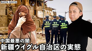 [問卦] 日本人踢爆西方抹黑新疆？算同路人嗎？