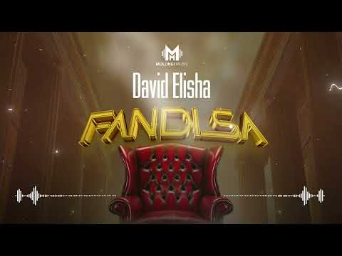 David Elisha - FANDISA ( Audio officiel)