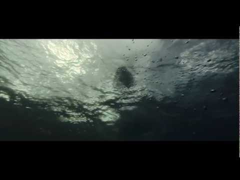 For All We Know video