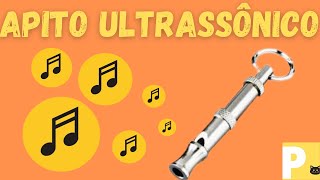 Som de apito ultrassnico#apitoparacachorro#cachorrobravo#co#dog#adestrarco#latindo#uivando#animal