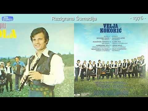 Velja Kokoric - Razigrana Sumadija - (Audio 1976)