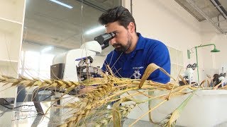 Miniatura do vídeo