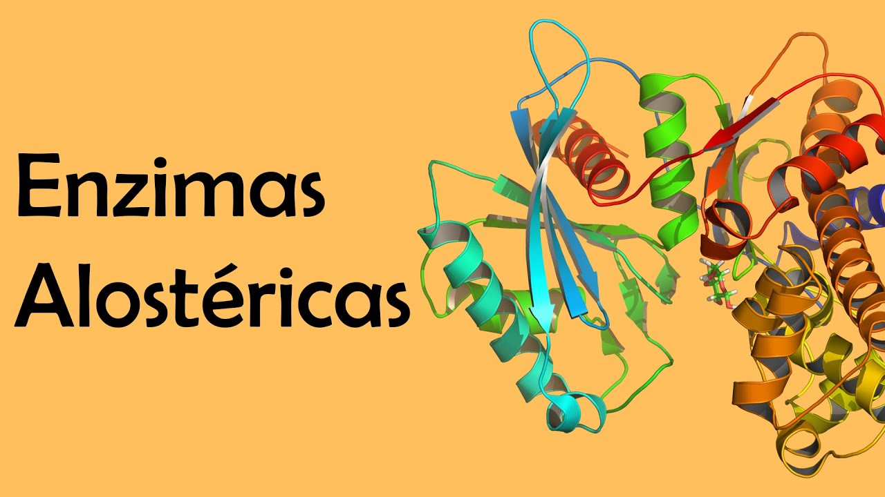 Enzimas Alostéricas