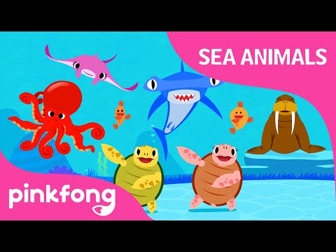 Move Like Sea Animals | Sea Animal Songs | Animal Songs | Pinkfong Songs for Children