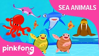 Move Like Sea Animals  Sea Animal Songs  Animal So
