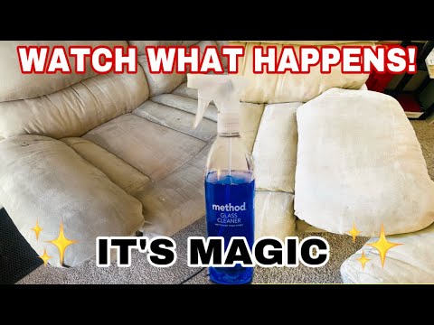 YouTube video about: How to remove dog smell from fabric?