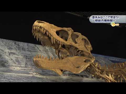 2025年8月9日(土)放送 「夏休みはここで学ぼう！県総合博物館」