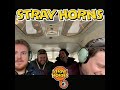 The Stray Horns - Roaming Band