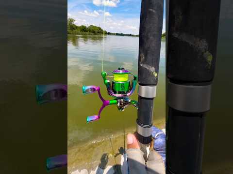 Tips casting a spinning Reel#fishing#fish#shortsvideo#shortvideo#shortsviral#shorts#short#youtube