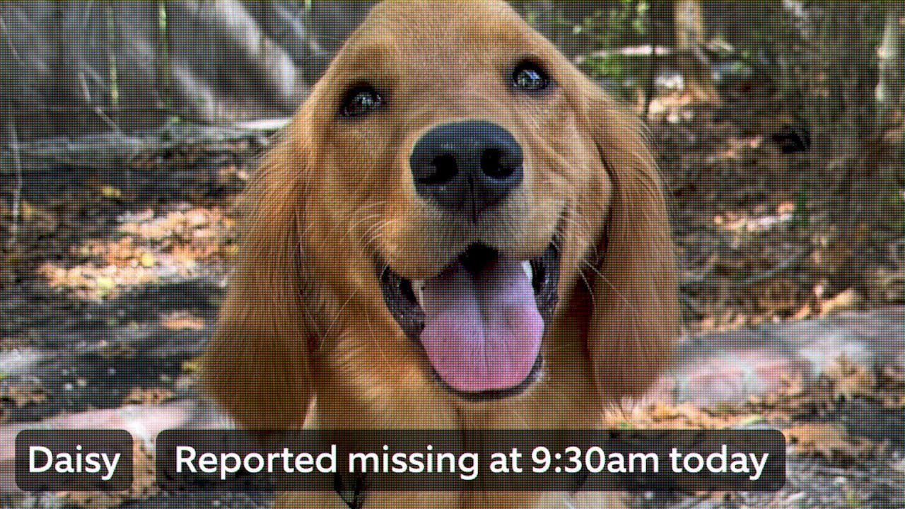 Search Party | A New Way to Neighbor - YouTube