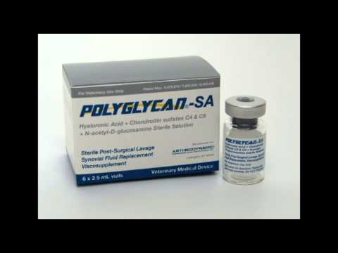 Polyglycan-SA - Canine Joint Injections  - Equipment Guide