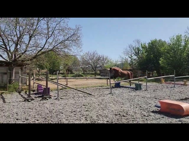 2ans avec un mental de guerrier