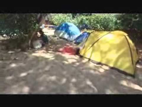 bebedeira no xigu.wmv ze buxim e compania