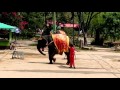 Elephant Blow The Trumpet