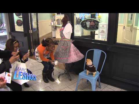 Jiff el Pomerania: El perro del área de Chicago se convierte en sensación en Internet