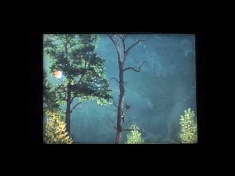 Warm Binary x Ryan Johndee - Yosemite 1978