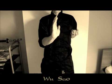 Siu Lim Tao Ip Man Wing Chun Kung Fu