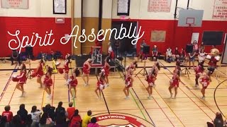ECI Cheerleaders - October 2016 Spirit Assembly | Charlotte Kingston