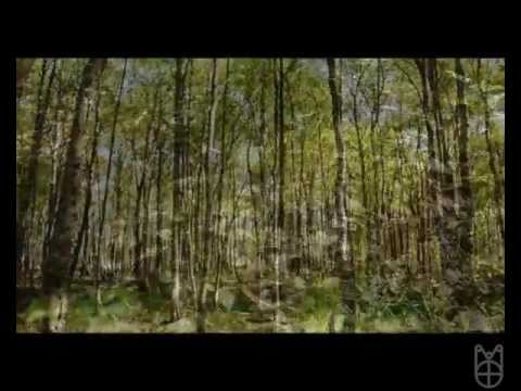 mcrossc Lost - Alte Wege - AWNW- Softversion - mcrossc Nr 070