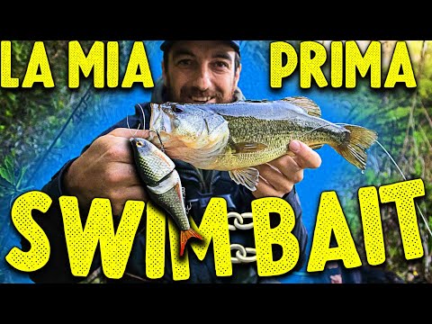 Building my first SWIMBAIT - From Construction to Catch