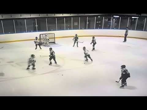 Bauer Proto R   JYP U11