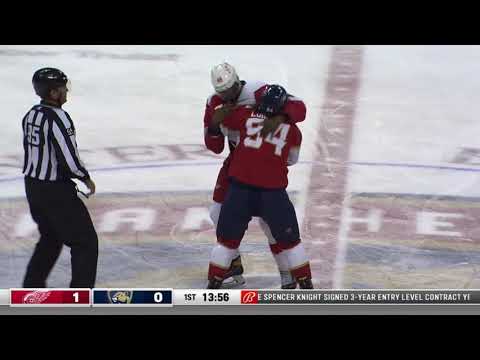 NHL Fight - Red Wings @ Panthers - Smith vs Lomberg - 01 04 2021
