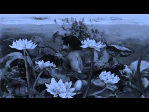 To a Skylark - The Fading Process - The Lotus Eater