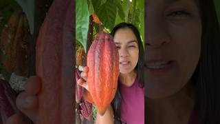 Fazendo ovo de Páscoa natural