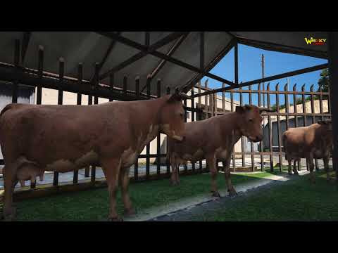 Sapi Ngamuk Gara-Gara Mau di Potong - Eps 81 - GTA 5 : Serial Rojali S2