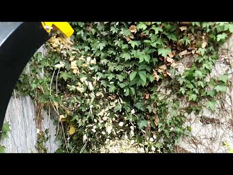 Haecksler 3 wood chipper slow motion