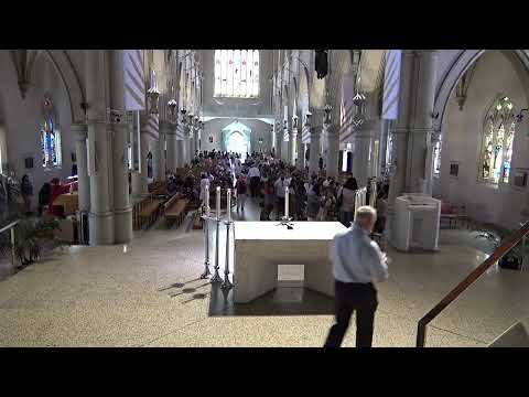 (2019-04-21) April 21, 2019. Mass of the Resurrection