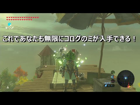 Descargar ゼルダの伝説 Botw コンプの記念にウ コをゲット これで虫が寄ってくる コログ900体の居場所と見つけ方を解説 ゼルダの伝説 ブレス オブ ザ ワイルドの攻略動画