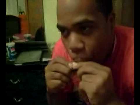 Darryl Harmonica Howell 2