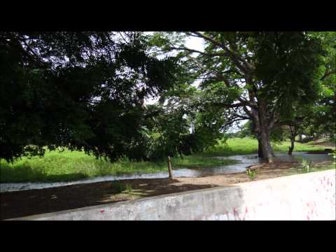 ALI CABELLO POPURRI HOMENAJE A  REINALDO ARMAS.wmv