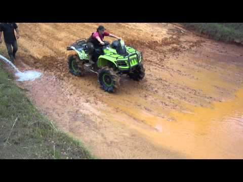 Arctic Cat thundercat wet clutch delete