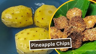 Sun Dried Fried Pineapple Chips