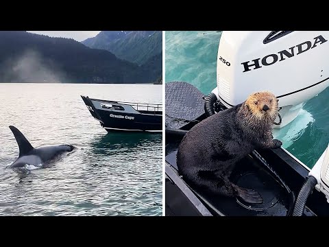 This Day Effin Sucks...