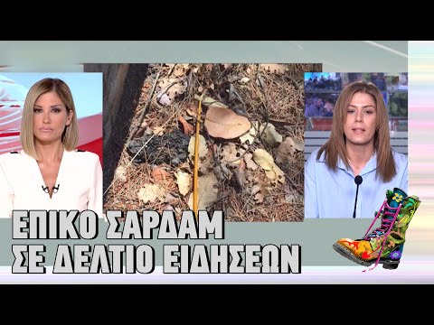 Ράδιο Αρβύλα | Επικό σαρδάμ σε δελτίο ειδήσεων | Top Επικαιρότητας (3/11/2022)