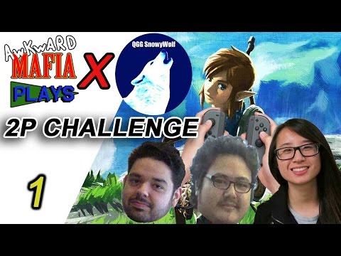 AMP X QGG Breath of the Wild - Two Player Challenge (Part 1 of 2)