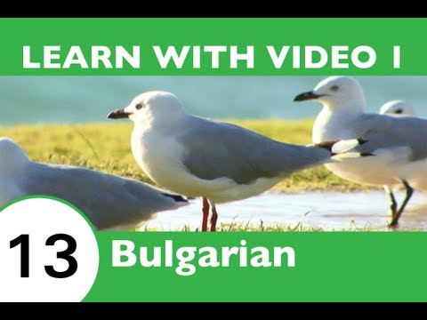 Learn Bulgarian - Birds of a Feather Flock Together at BulgarianPod101.com!