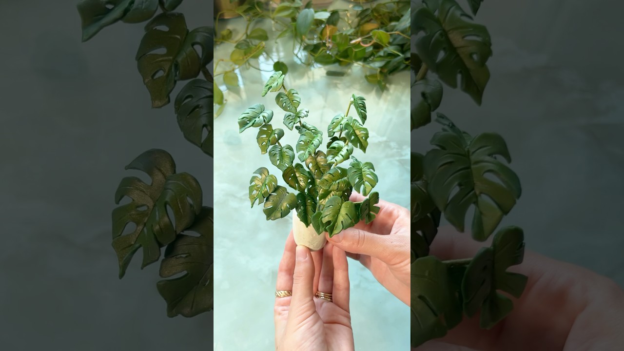 You guys have been asking for more plants! #miniatures #minaiture #monstera #greenhouse #plantlover