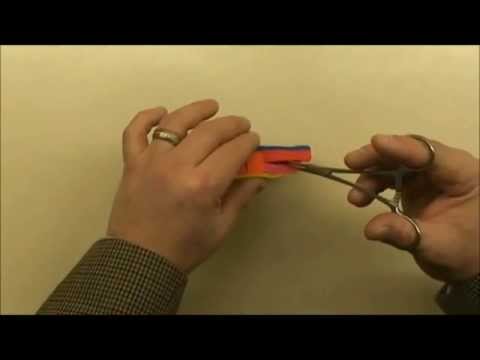 Medical Embryology - Difficult Concepts of Early Development Explained Simply