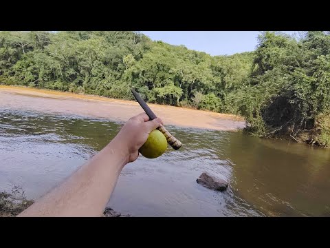 Explorando a Barra do Rio Itapirapuã: Onde o Rio Ribeira Entra no Vale do Ribeira!