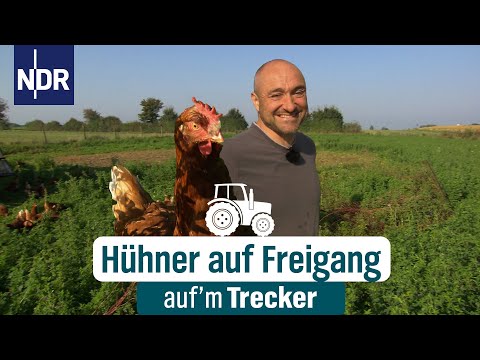 300 Hühner auf der Flucht wegen eines Kurzschlusses | Auf'm Trecker Folge 48 | NDR