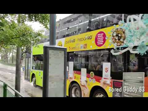 608 Bus Schedule Times