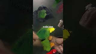 Painting nighttime evergreen trees with Nicholas Hankins