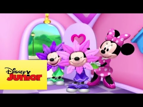 Capa de Minnie Toons: Um Jeitinho nas Flores