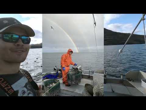 Hauling Gear - Viekoda Bay Part 2