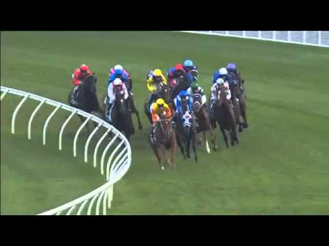 Randwick Race 9 April 16th 2016 - TAB REWARDS ROYAL RANDWICK 100